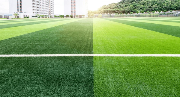 Vista img1 de Ccahuaya alta