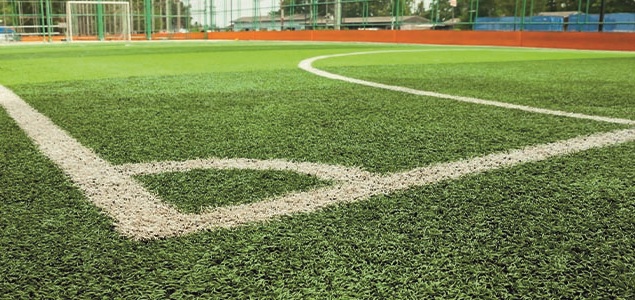 Vista img1 de Muni. San Miguel